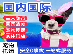 舟山普陀山机场货运国际宠物托运 【国